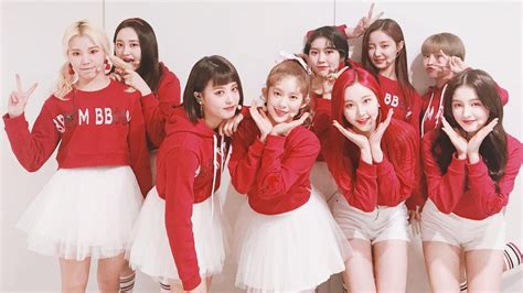 momoland entertainment.
